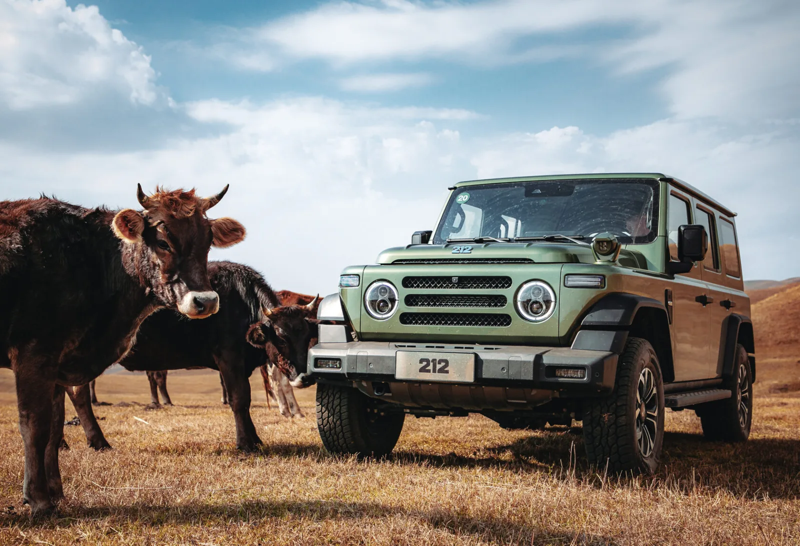 Baw 212 T01 (SUV 5D (рамный)) — купить в Ростове-на-Дону