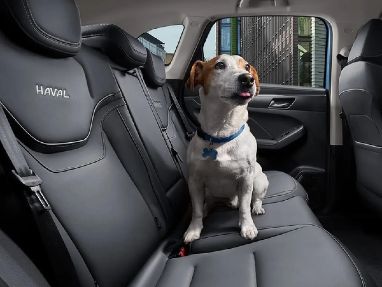 Haval Jolion Новый