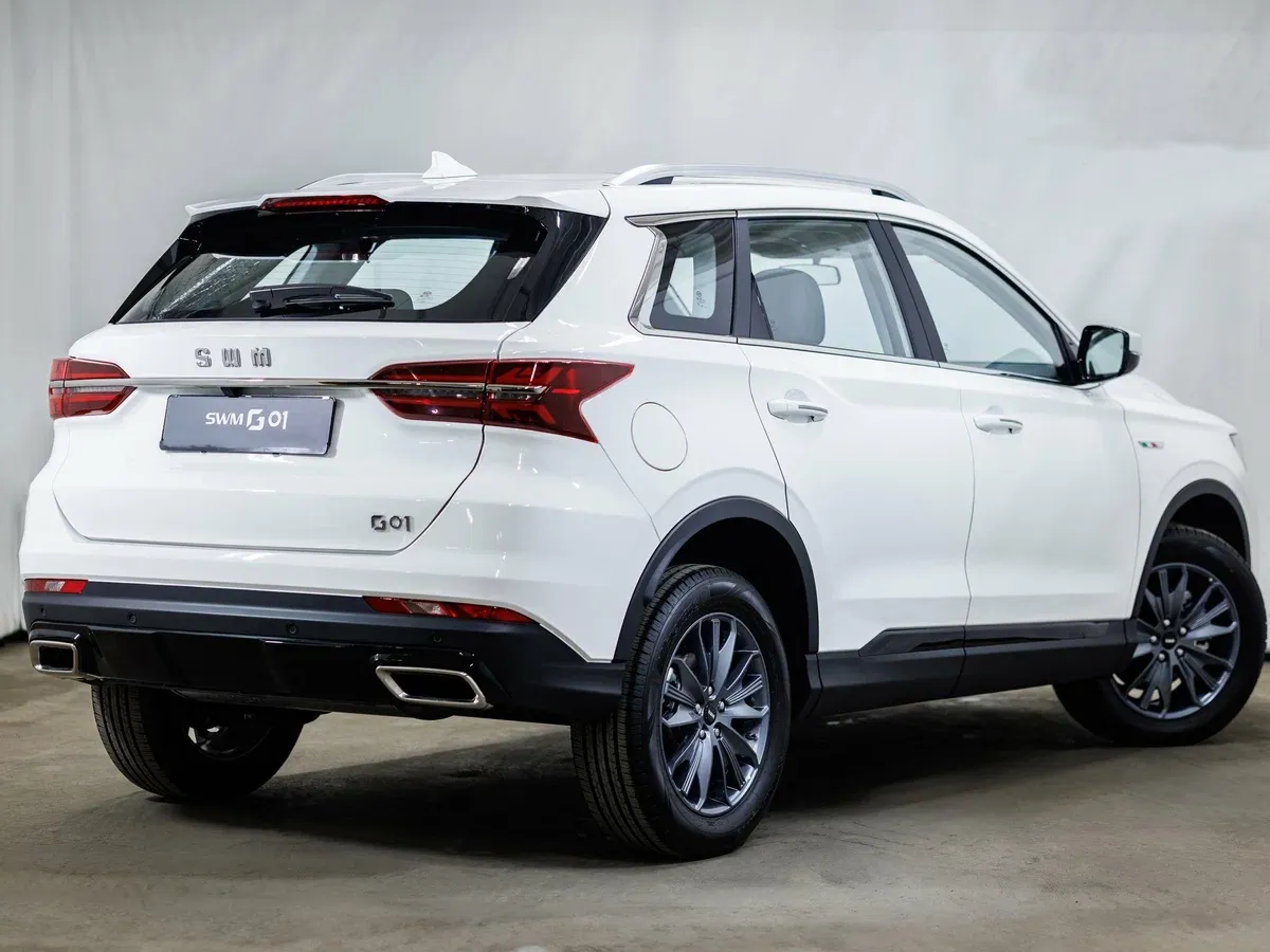 Swm G01