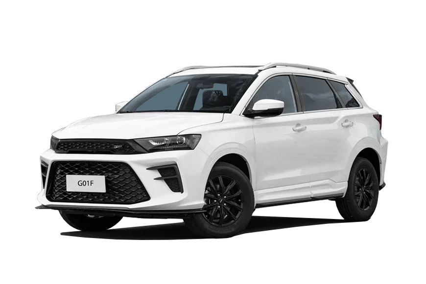 Swm G01F (SUV 5D) — купить в Ростове-на-Дону